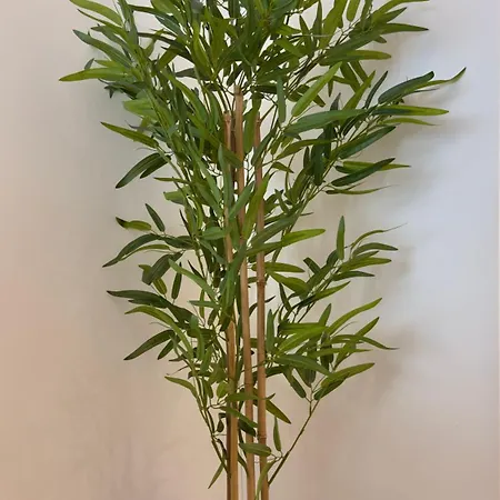 Timeless - O'clock Daire Lisboa